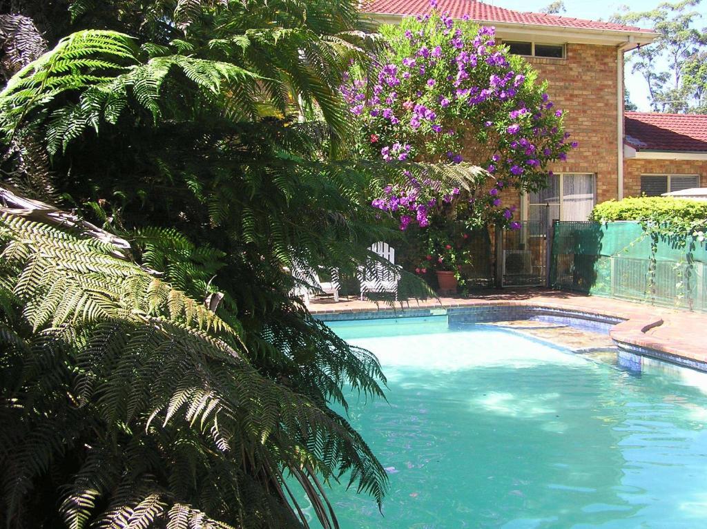 Sapphire Motel Korora Bagian luar foto